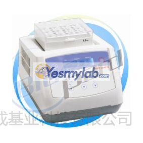 上海一恒TUS-200P振荡恒温金属浴